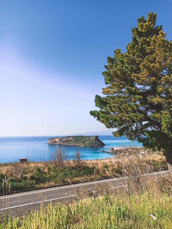 Miramare Bed&Food - Free Parking & Wifi Bed & Breakfast San Nicola Arcella Eksteriør bilde